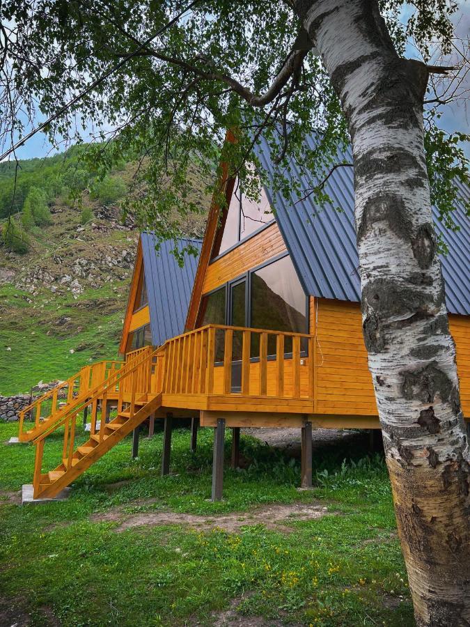 Pine Chalet Kazbegi Dış mekan fotoğraf