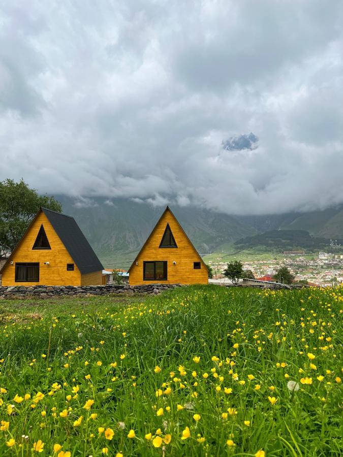 Pine Chalet Kazbegi Dış mekan fotoğraf