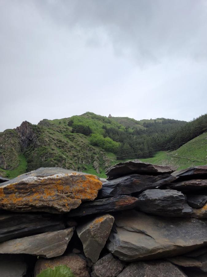 Pine Chalet Kazbegi Dış mekan fotoğraf
