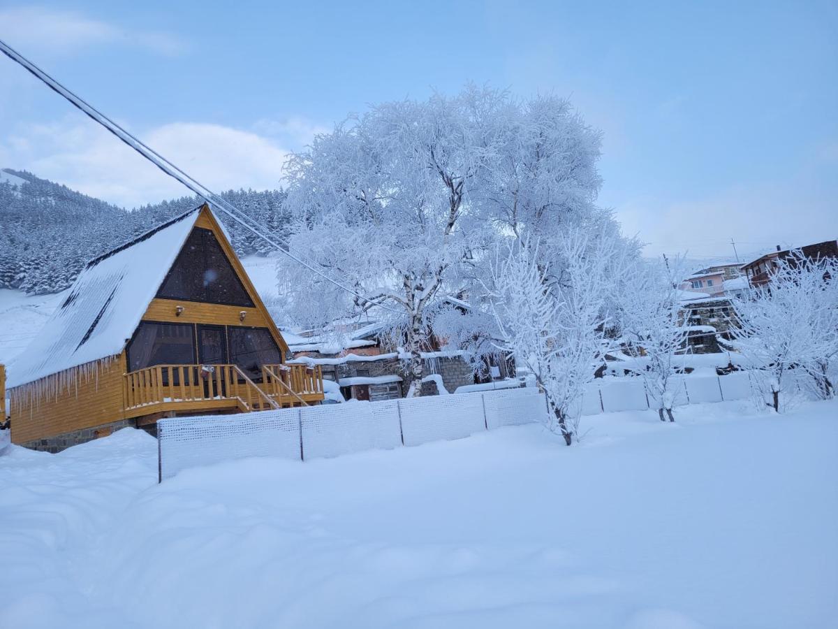 Pine Chalet Kazbegi Dış mekan fotoğraf