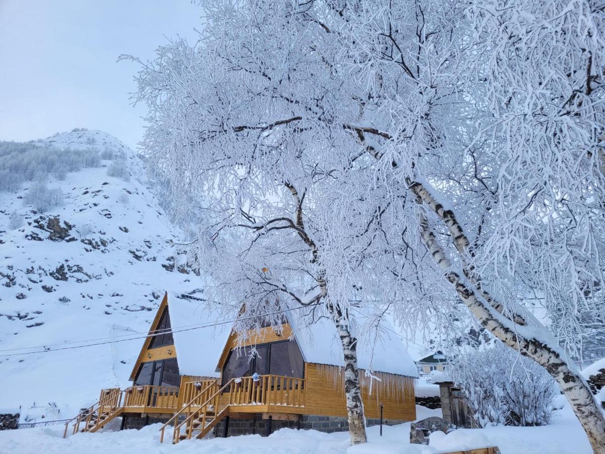 Pine Chalet Kazbegi Dış mekan fotoğraf