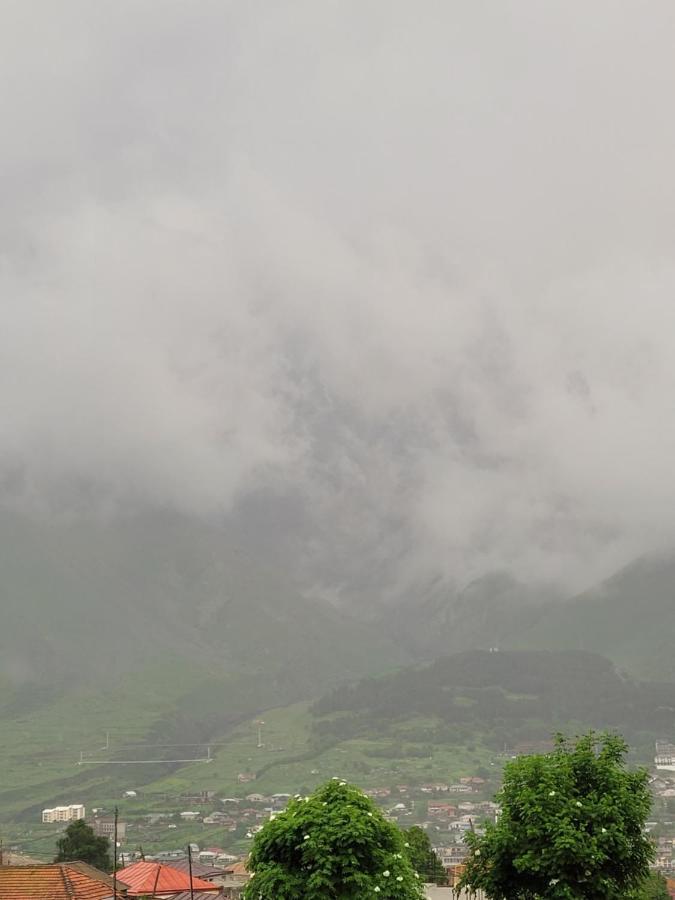 Pine Chalet Kazbegi Dış mekan fotoğraf