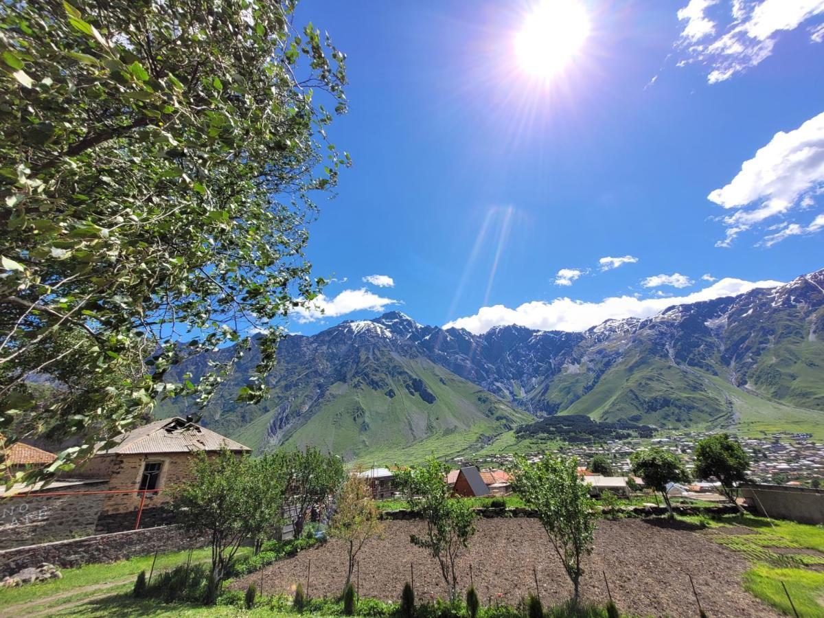 Pine Chalet Kazbegi Dış mekan fotoğraf